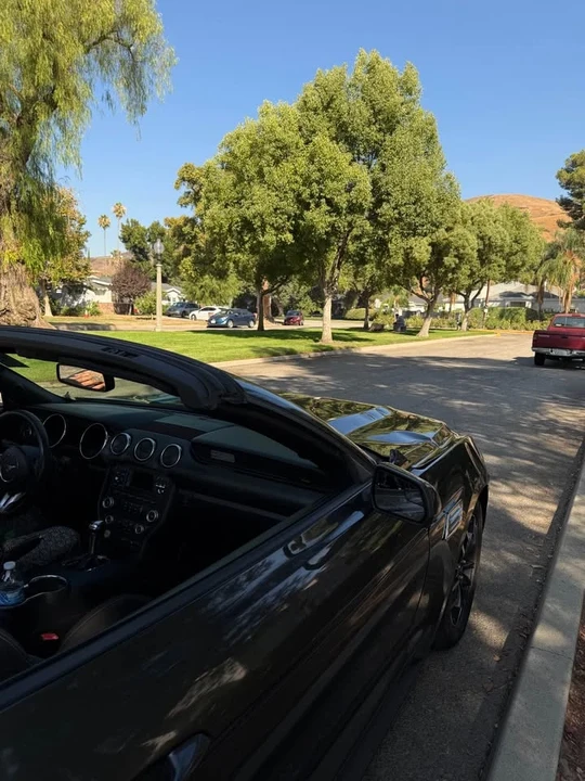 2015 Ford S550 Mustang - Image 9 of 11