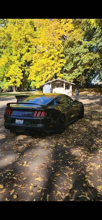 2015 Ford S550 Mustang - Image 2 of 12