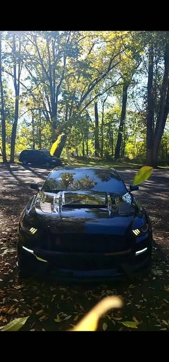 2015 Ford S550 Mustang - Image 3 of 12