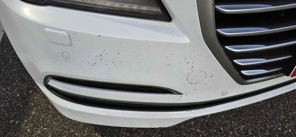 2015 Genesis G70 - Image 6 of 14