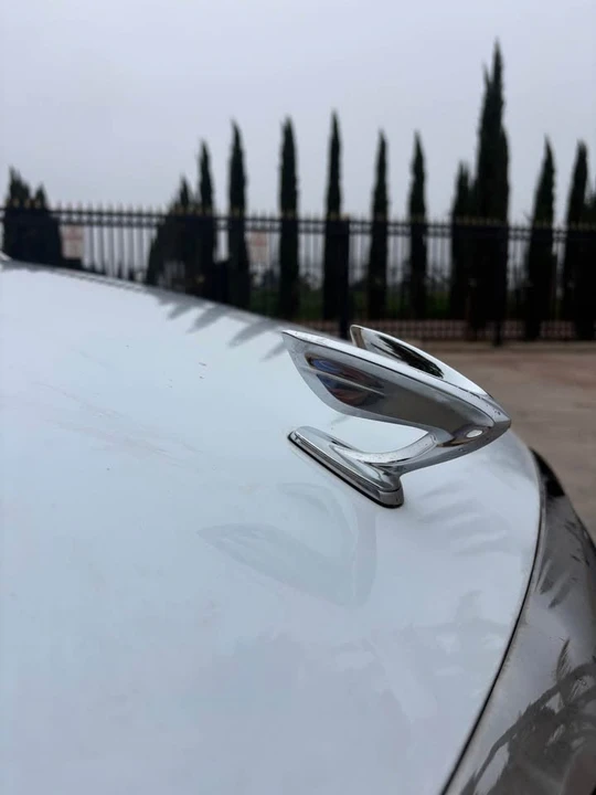 2015 Hyundai Equus - Image 9 of 13