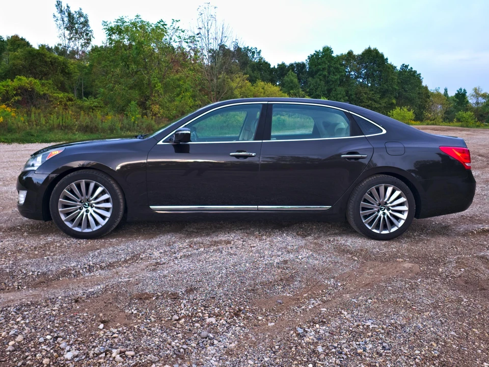 2015 Hyundai Equus - Image 14 of 31