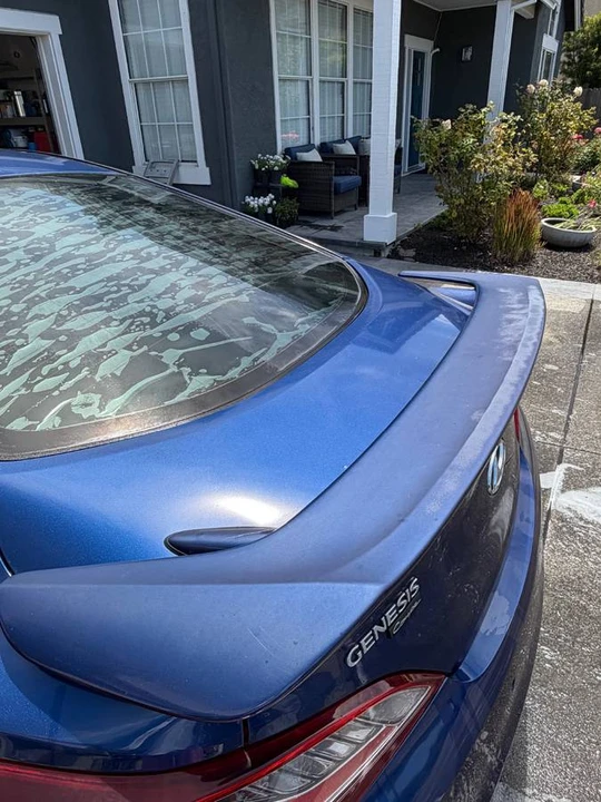 2015 Hyundai Genesis Coupe - Image 8 of 15