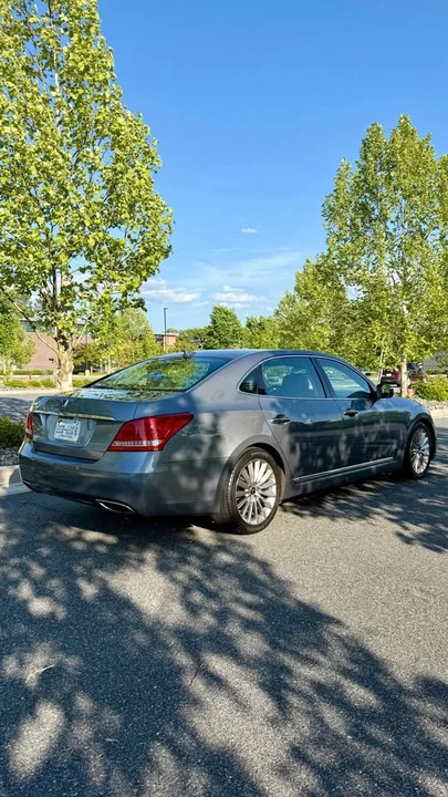 2015 Hyundai Equus - Image 5 of 20