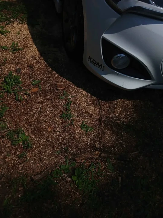2015 Hyundai Veloster - Image 8 of 13