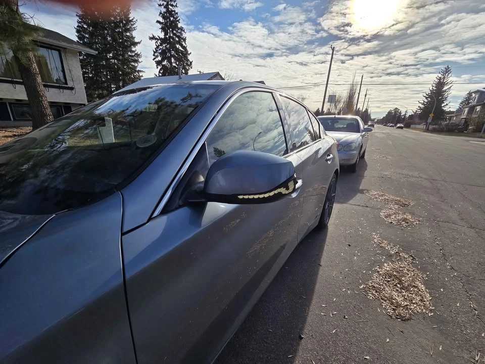 2015 Infiniti Q50 - Image 3 of 10