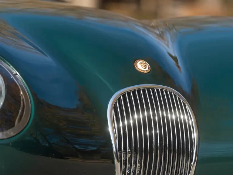 2015 Jaguar Replica - Image 15 of 31