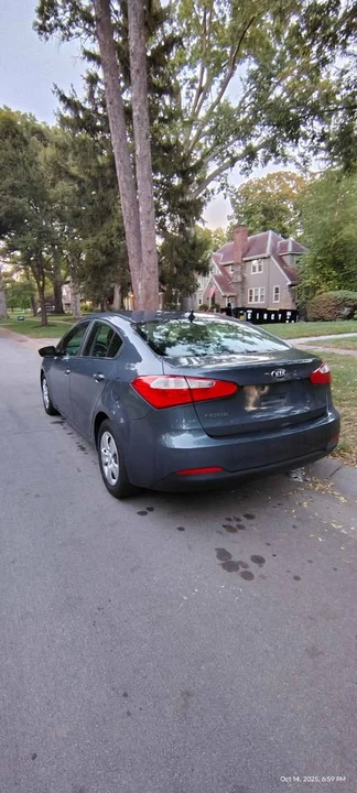 2015 Kia Forte - Image 16 of 20