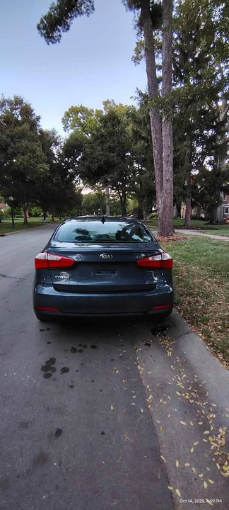 2015 Kia Forte - Image 18 of 20