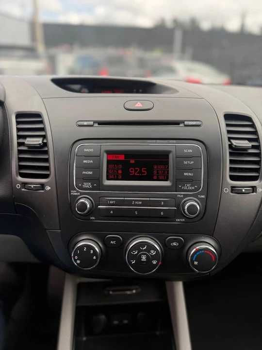 2015 Kia Forte - Image 15 of 15