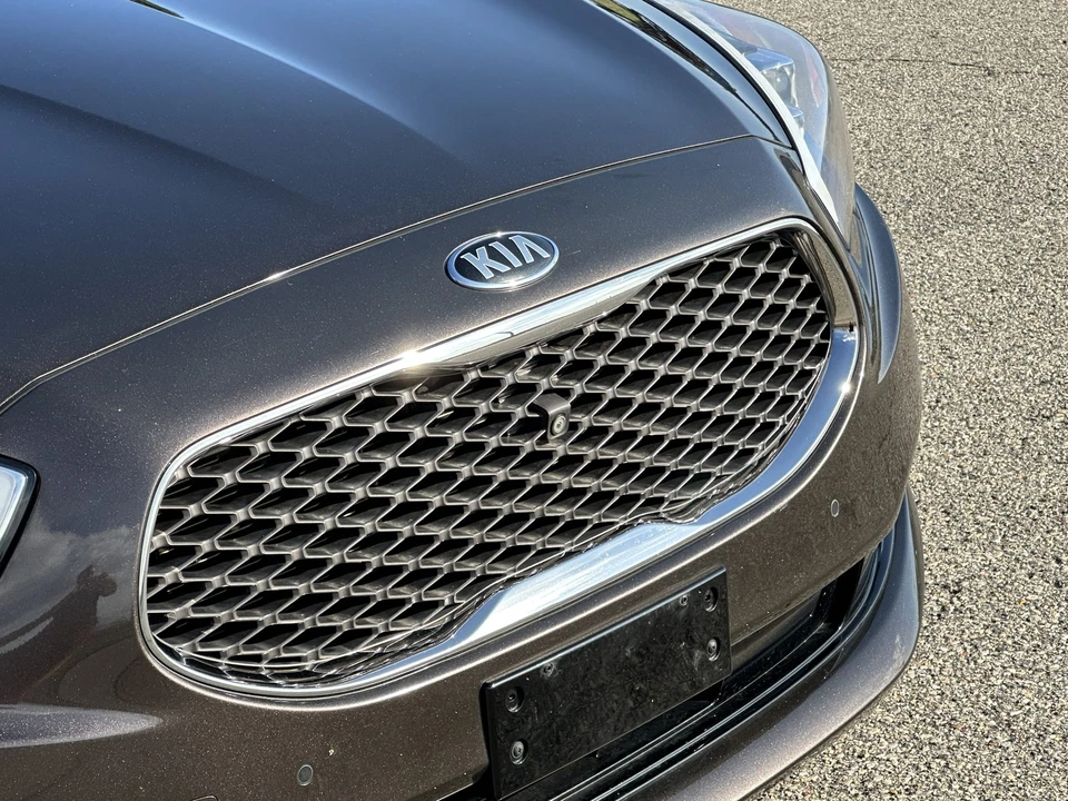 2015 Kia K900 - Image 18 of 31