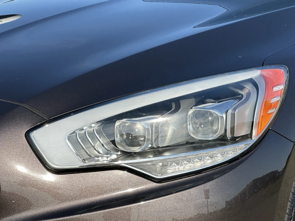 2015 Kia K900 - Image 19 of 31