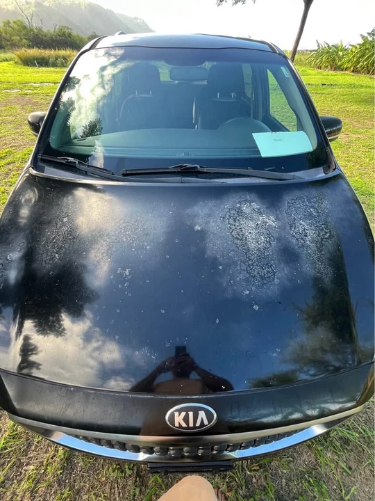2015 Kia Carnival - Image 4 of 11
