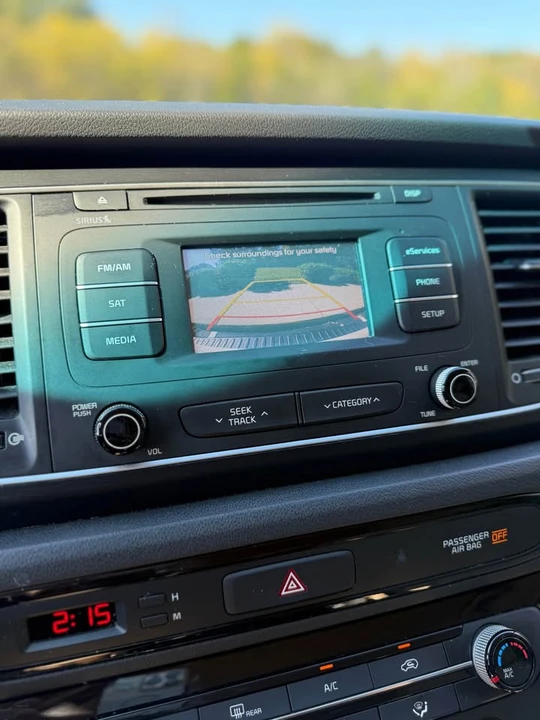 2015 Kia Carnival - Image 16 of 17