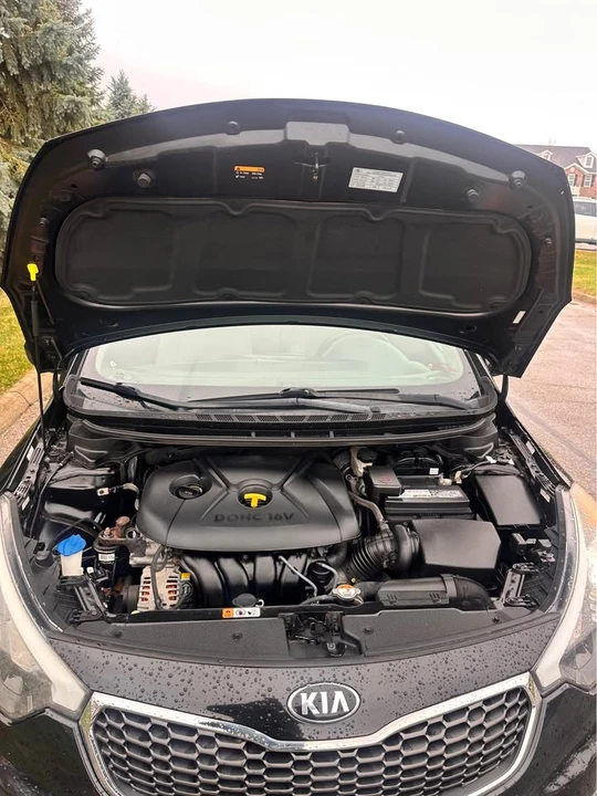 2015 Kia Forte - Image 13 of 13