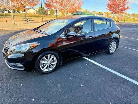 2015 Kia Forte5 EX