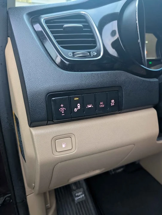 2015 Kia Carnival - Image 19 of 19