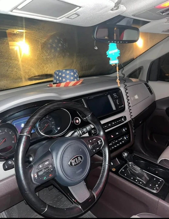 2015 Kia Carnival - Image 10 of 11