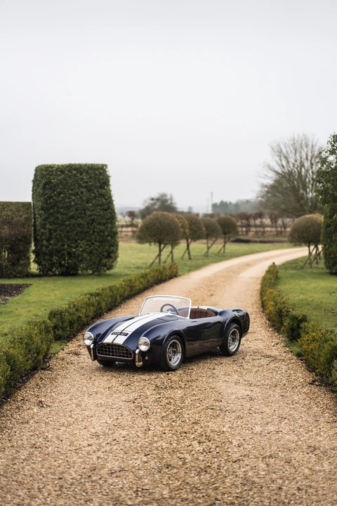 2015 Shelby Cobra Replica - Image 8 of 31