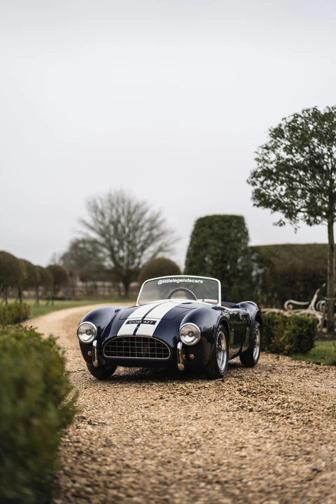 2015 Shelby Cobra Replica - Image 9 of 31