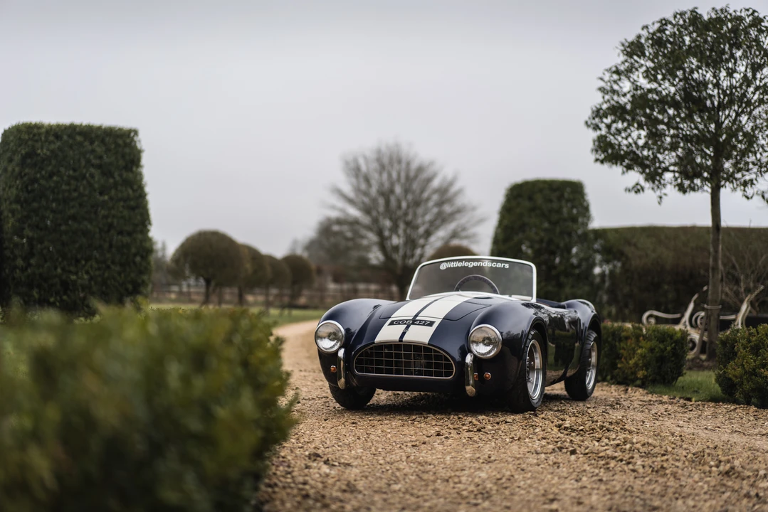 2015 Shelby Cobra Replica - Image 10 of 31
