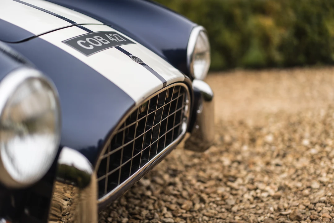 2015 Shelby Cobra Replica - Image 22 of 31