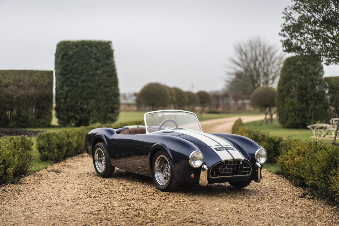 2015 Shelby Cobra Replica - Image 4 of 31
