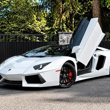 2015 Lamborghini Aventador LP700-4 Roadster