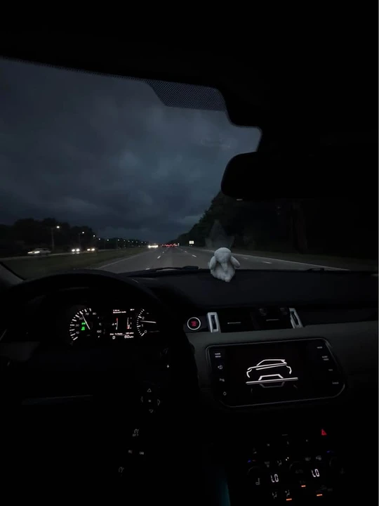 2015 Land Rover Range Rover Evoque 1st Gen - Image 2 of 6