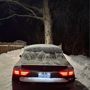 2015 Lexus ES 300h