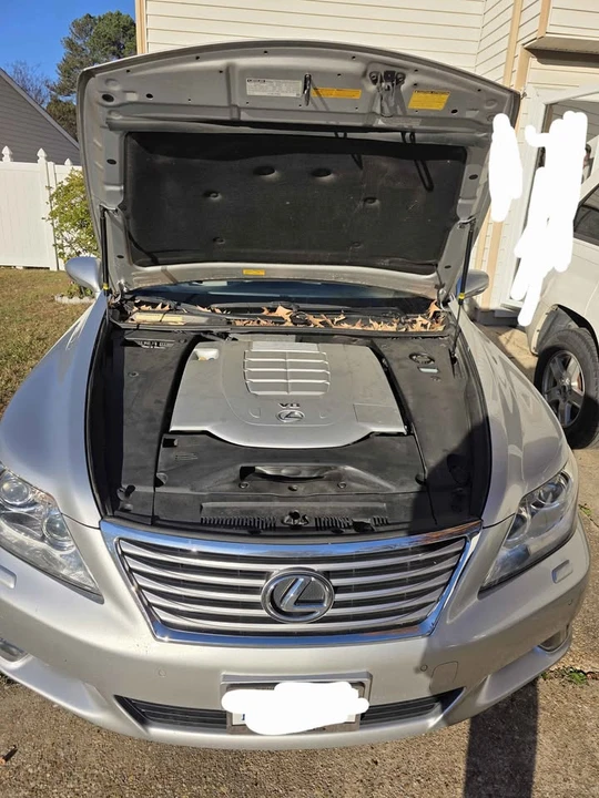 2015 Lexus LS 4th Gen - Image 5 of 5