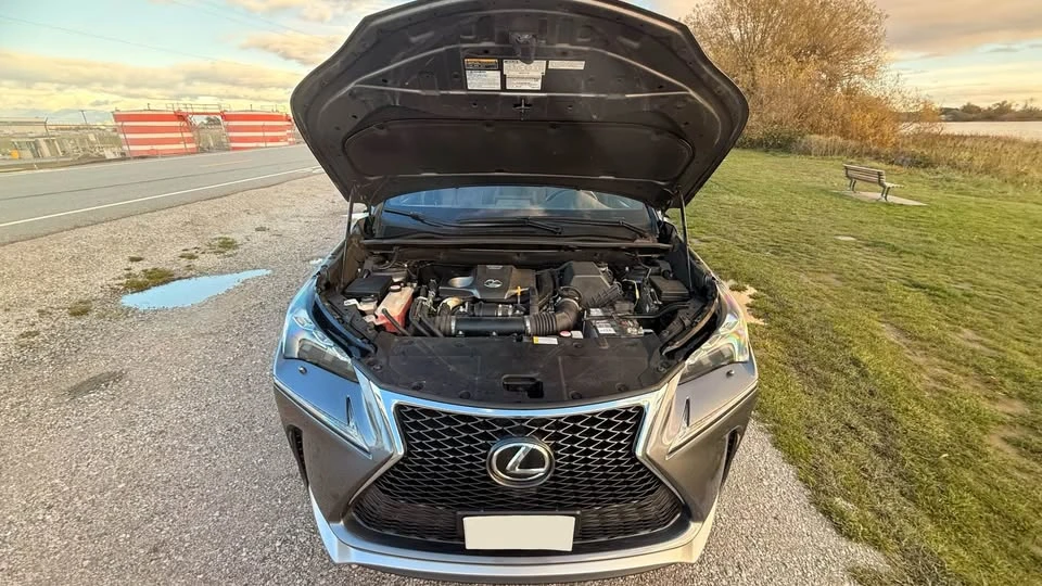 2015 Lexus NX 1st Gen - Image 10 of 20