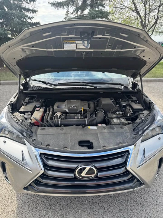2015 Lexus NX 1st Gen - Image 15 of 17