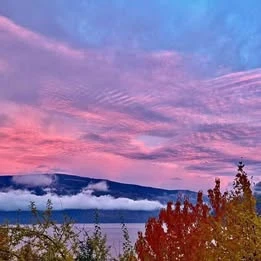 2015 Lexus GX 2nd Gen - Image 18 of 18