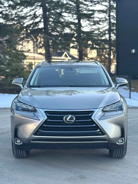 2015 Lexus NX 1st Gen - Image 2 of 20