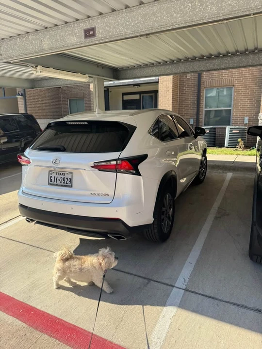 2015 Lexus NX 1st Gen - Image 8 of 14