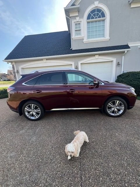 2015 Lexus RX 3rd Gen - Image 5 of 20