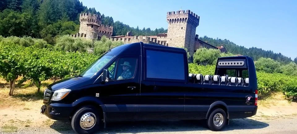 2015 Mercedes-Benz NCV3 Sprinter - Image 11 of 11