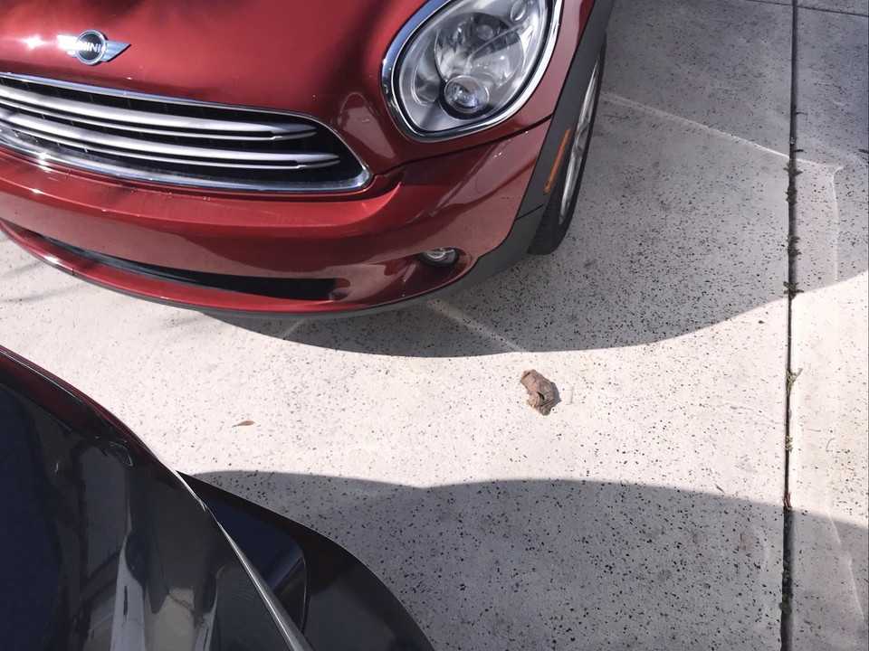 2015 Mini Countryman 1st Gen - Image 7 of 10