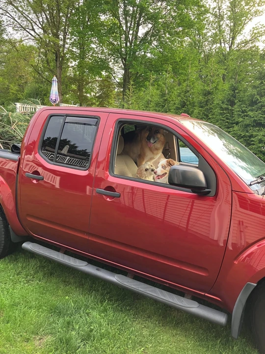 2015 Nissan Frontier 2nd Gen - Image 2 of 7