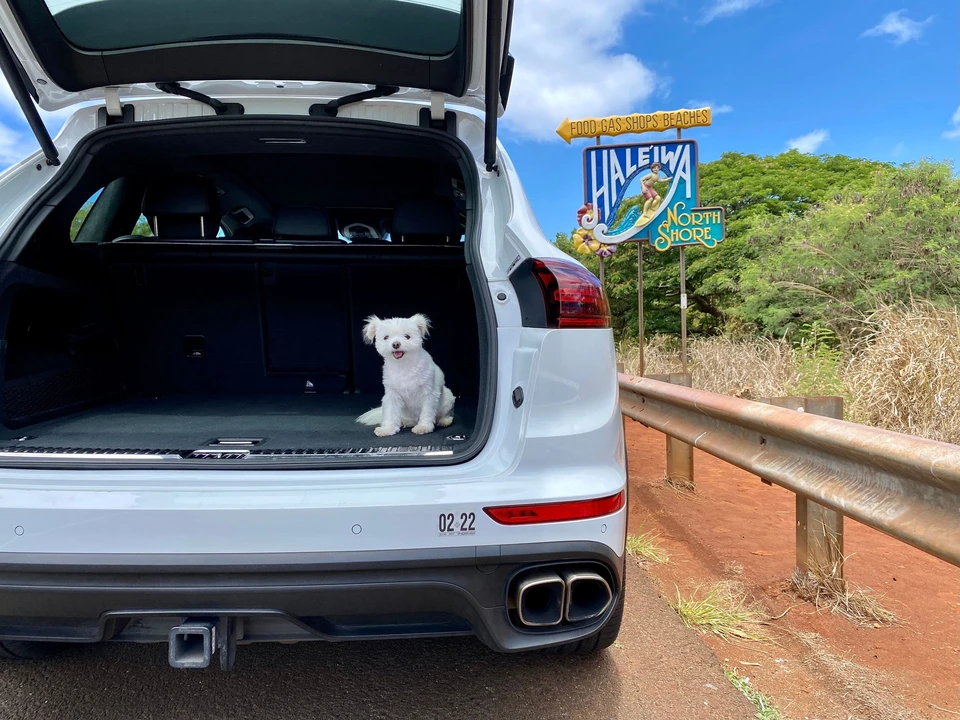2015 Porsche 958 Cayenne Turbo - Image 3 of 5