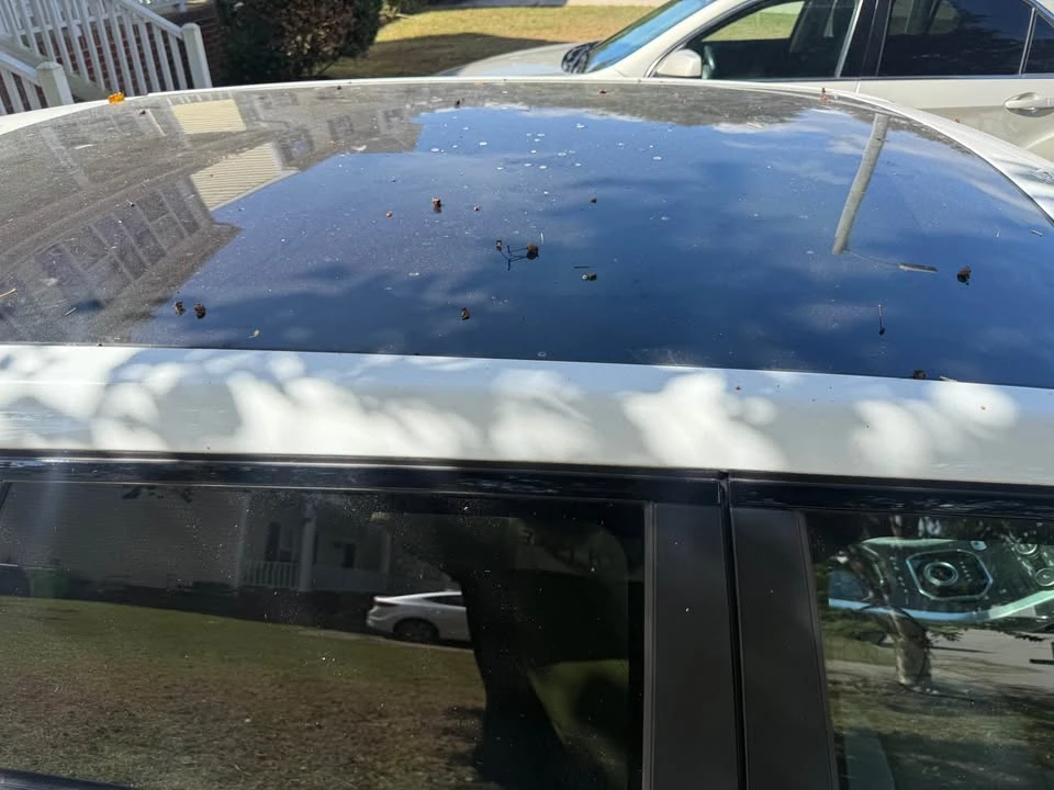 2015 Land Rover Range Rover L405 - Image 10 of 10