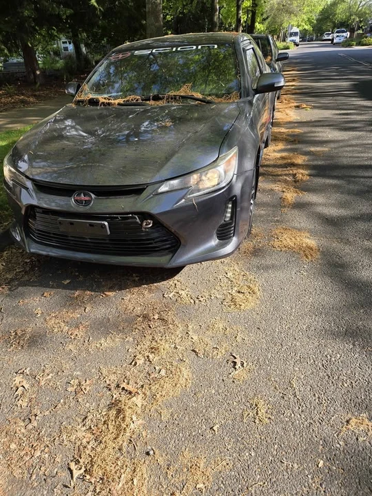2015 Scion tC - Image 3 of 17