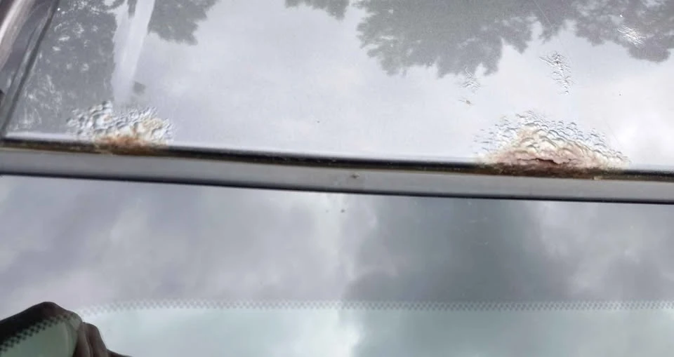 2015 Toyota RAV4 - Image 11 of 12