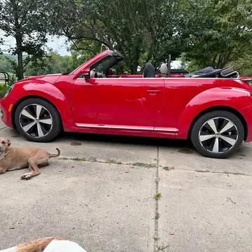 2015 Volkswagen New Beetle 2.5 Convertible 2D