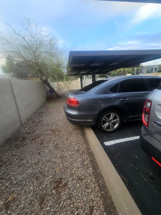 2015 Volkswagen Passat - Image 6 of 6