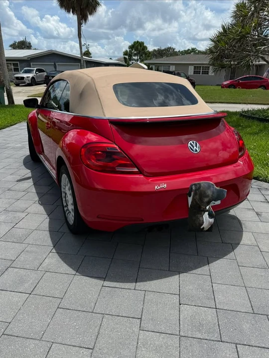 2015 Volkswagen A5 Beetle - Image 6 of 10