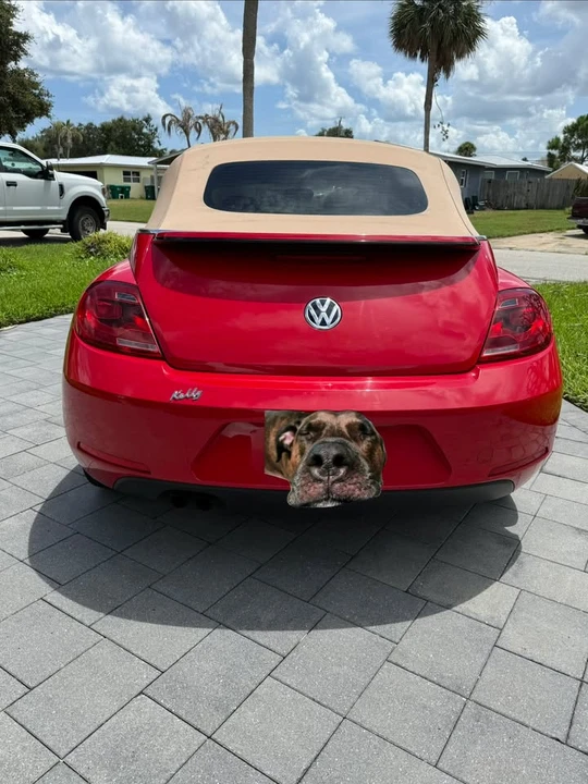 2015 Volkswagen A5 Beetle - Image 7 of 10