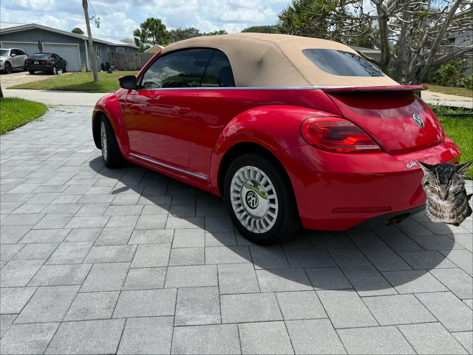 2015 Volkswagen A5 Beetle - Image 5 of 10