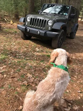 2016 Jeep Wrangler Unlimited